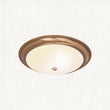Antique brass plate & frosted glass