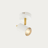 Matt white paint & satin brass plate