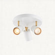 Matt white paint & satin brass plate