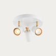 Matt white paint & satin brass plate