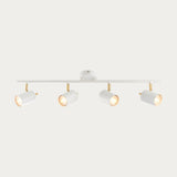 Matt white paint & satin brass plate