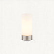 Brushed nickel plate & opal glass
