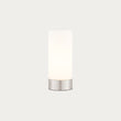 Brushed nickel plate & opal glass
