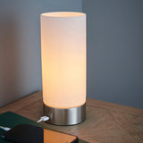 Brushed nickel plate & opal glass