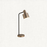 Antique bronze plate & matt black