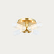 Satin brass plate & clear ribbed glass