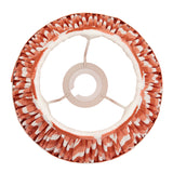 Apricot orange fabric