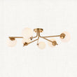 Ariana 6-Light Semi-Flush Light