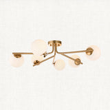 Ariana 6-Light Semi-Flush Light