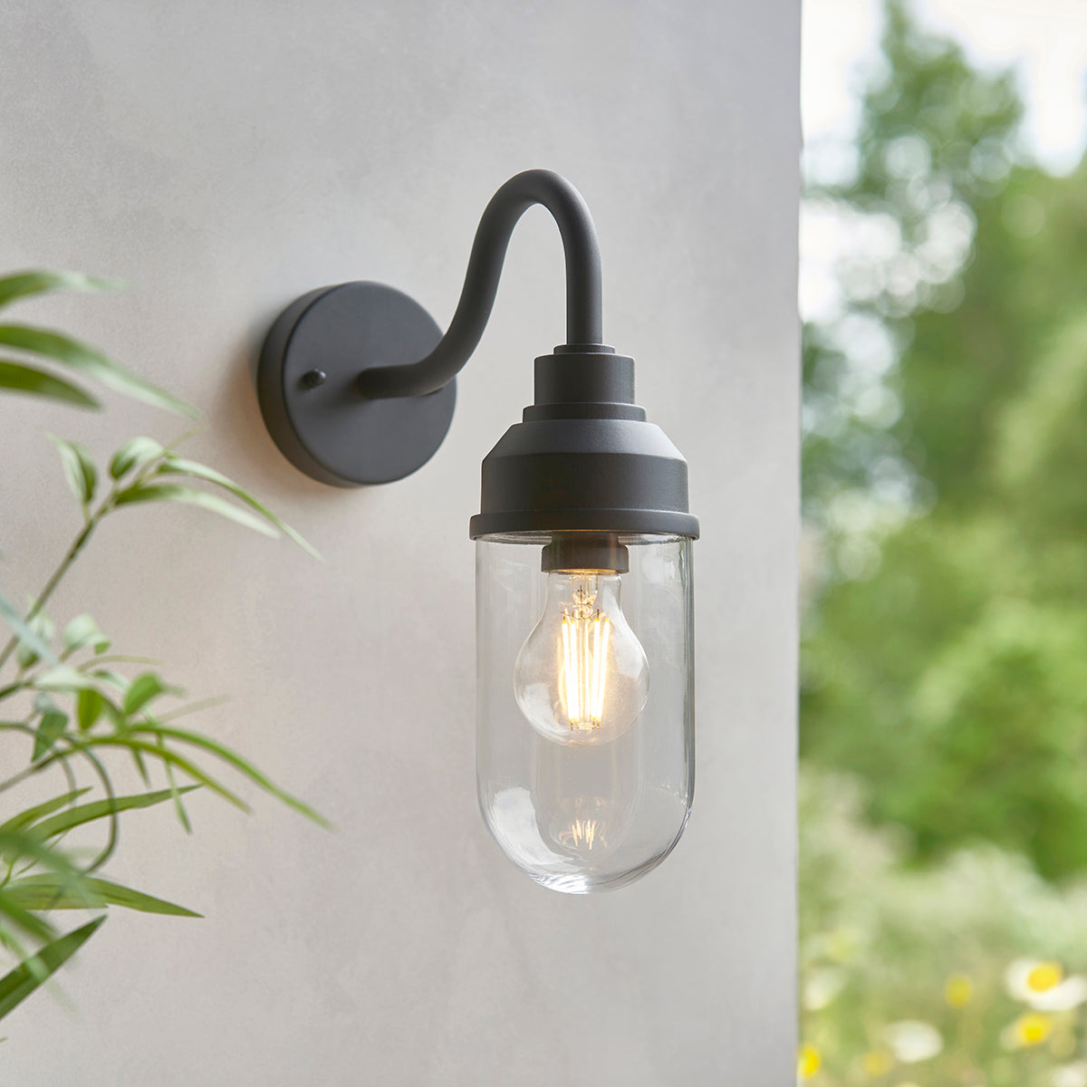 Trumont Wall Light