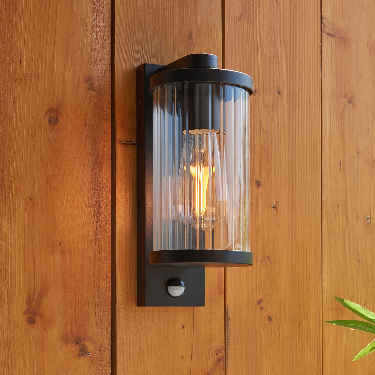 Newton PIR Wall Light