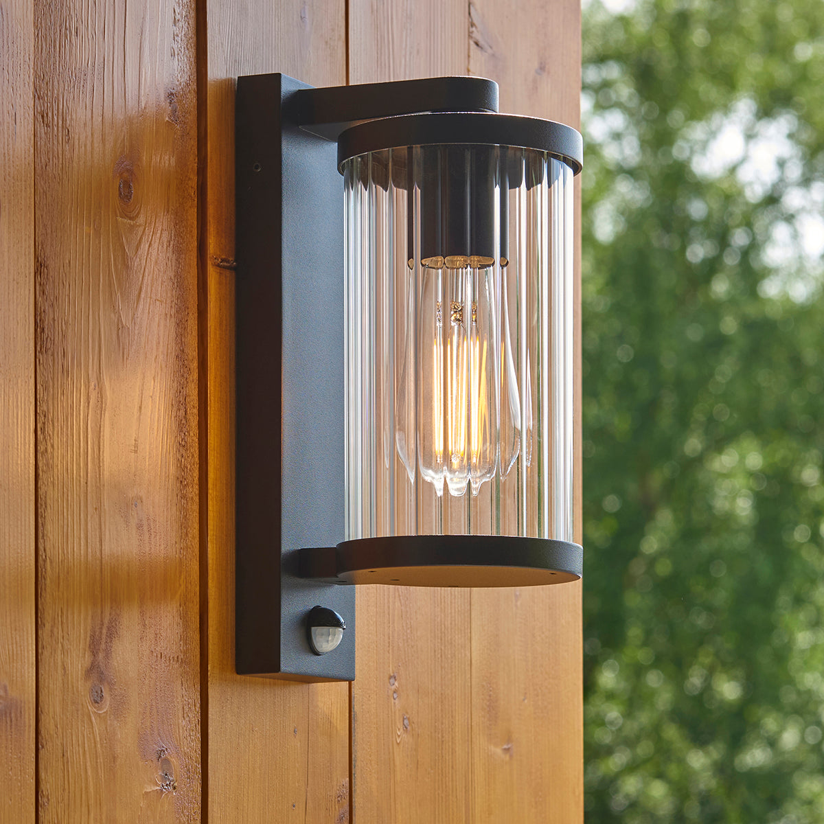 Newton PIR Wall Light