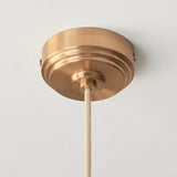 Brushed Brass & Natural Braided Flex
