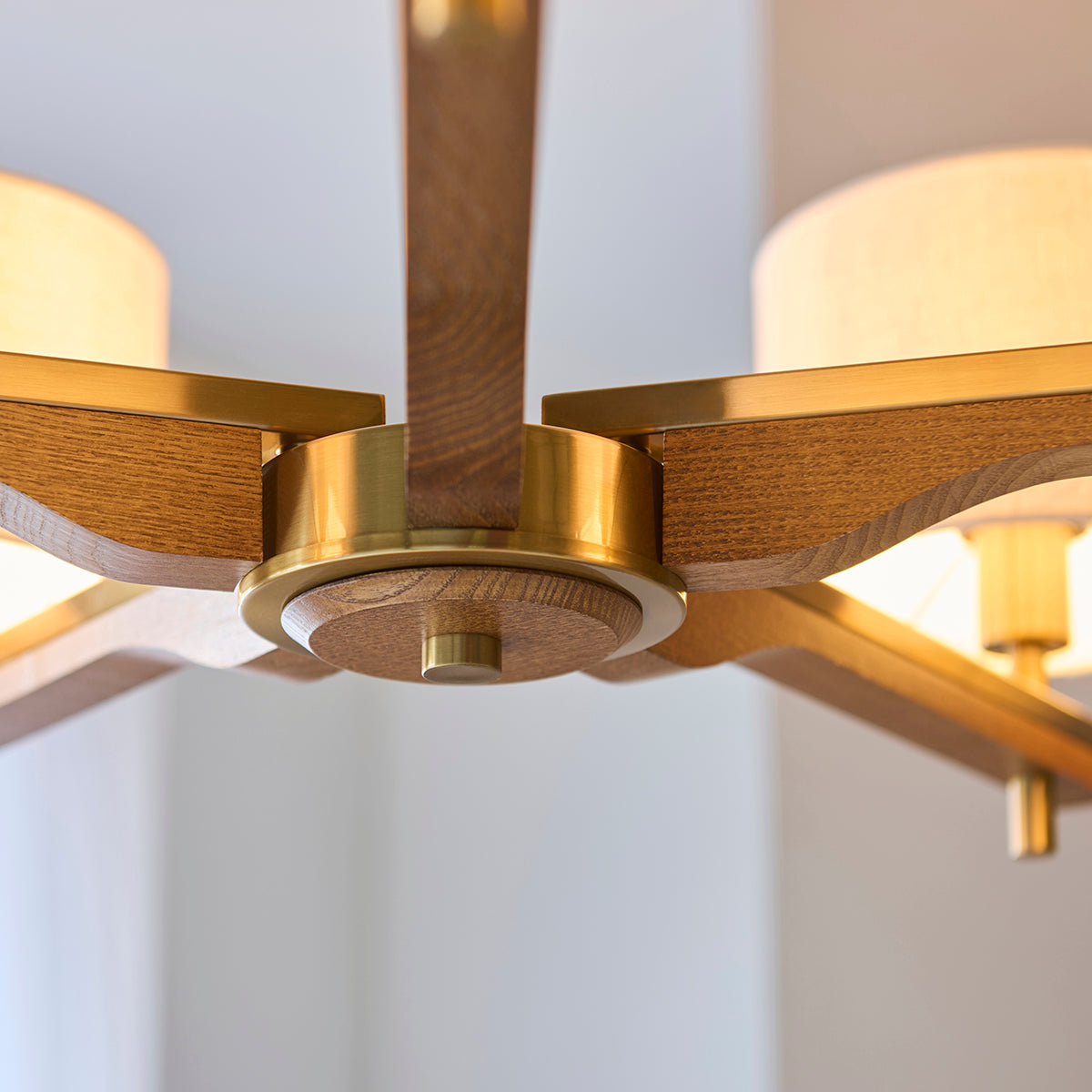 Horace 5-Light Pendant Light in Brushed Aged Brass