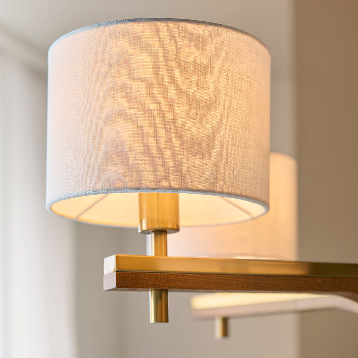 Horace 5-Light Pendant Light in Brushed Aged Brass