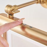 Kesa Battery Operated Picture Light in Warm Brass Finish