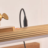 Kindra Battery Powered Picture Light in Warm Brass Finish