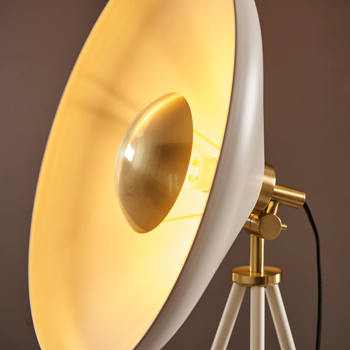 Warm white & brushed brass plate