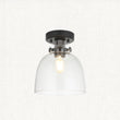 Hayden Tinted Glass Flush Light in Black Chrome