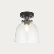 Hayden Tinted Glass Flush Light in Black Chrome
