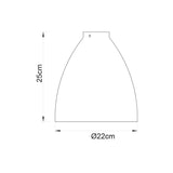 Clara Clear Glass Pendant Shade