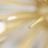 Brass