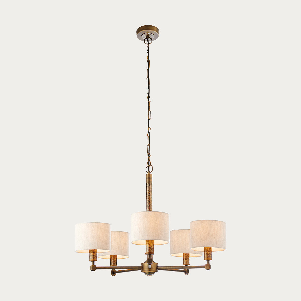 Isaac Five Light Pendant in Hammered Bronze