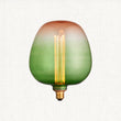 Green Ombre