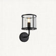 Hans Clear Glass Wall Light in Matt Black
