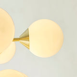 Gold Medium