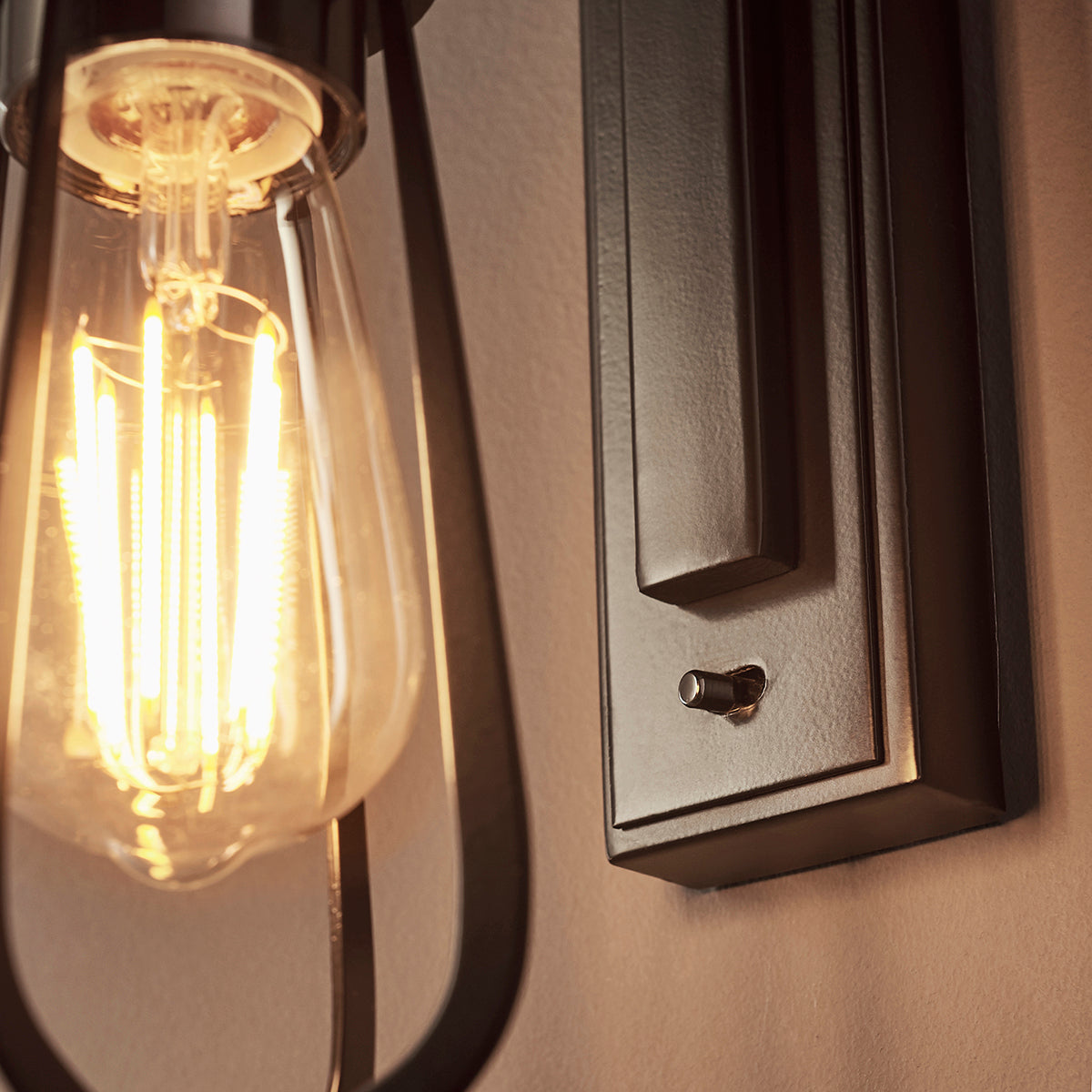 Cave Metal Caged Wall Light in Black